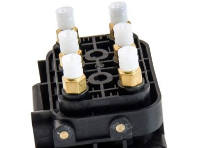 Jeep 68087233AA Valve Assembly