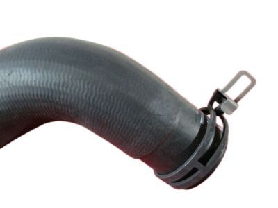 Dodge Durango Radiator Hose - 52028988AB