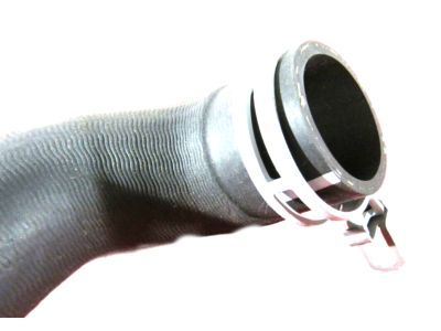 Dodge Durango Radiator Hose - 52028988AB