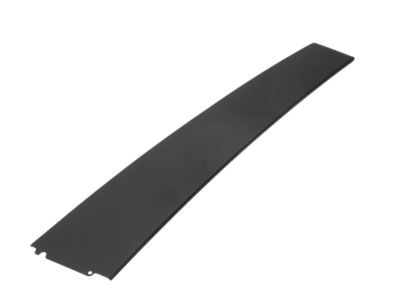 Dodge 57010429AC APPLIQUE Rear Door