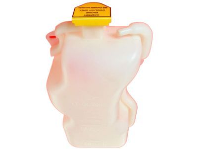 Dodge W250 Coolant Reservoir - 52027784
