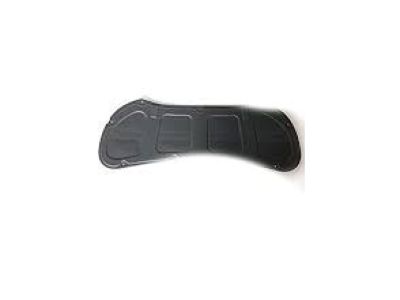 Dodge 68248696AA Cluster Lens