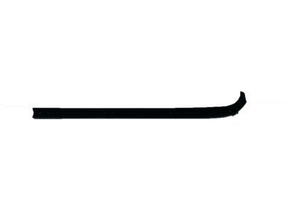 Dodge B3500 Door Seal - 4161675