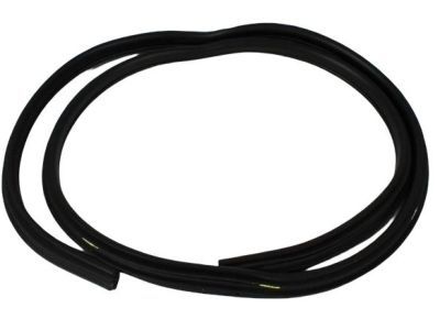 Dodge 55275608AG WEATHERSTRIP Door Opening