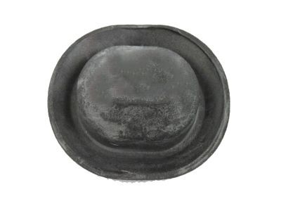 Jeep 4440294 Tail Gate Plug