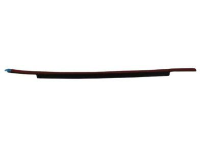 Dodge Durango Door Seal - 55257239AE