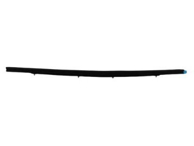Dodge Durango Door Seal - 55257239AE