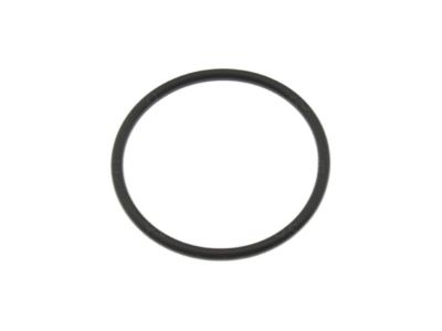 Ram 68031896AA Master Cylinder Gasket