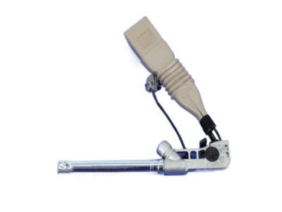Chrysler 300 Seat Belt - 1HZ171L1AF