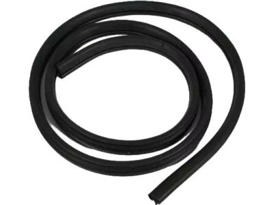 Mopar 55135958AG Seal Rear Door