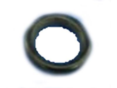 Dodge 68035281AA Liquid Line O-Ring