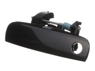 Dodge 1MZ85LAUAJ HANDLE Front Door Exterior