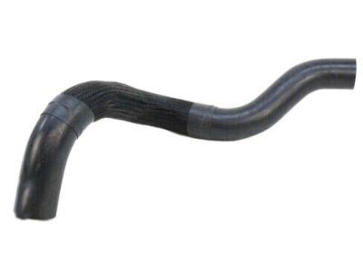 Jeep 52079401AB Lower Hose
