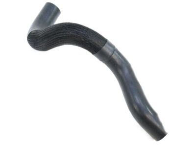 Jeep 52079401AB Lower Hose