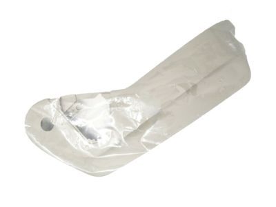 Dodge 1JB12BD1AA SHIELD Passenger Outboard