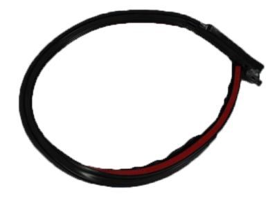 1998 Jeep Wrangler Weather Strip - 55175042