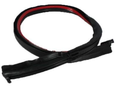 1998 Jeep Wrangler Weather Strip - 55175042