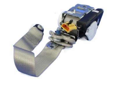 Dodge Grand Caravan Seat Belt - ZV69BD1AJ