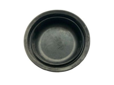 Chrysler Headlight Cover - 5139058AA