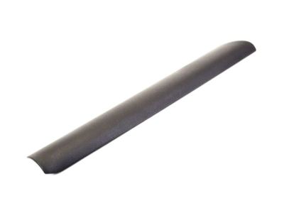 Dodge TR89DX9AD Sill Cover