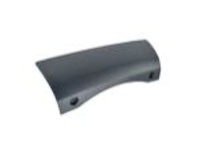 Dodge 1XV06TZZAB BEZEL Hitch