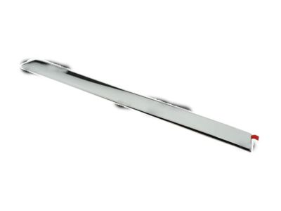 Jeep Door Moldings - 55079309AE