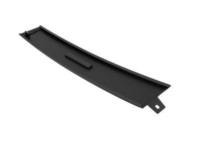 Mopar 4806303AB Applique Front Door