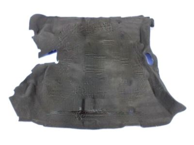 Dodge 5GT53XDVAF Carpet