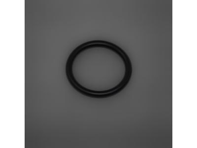 Mopar 5080452AA O Ring
