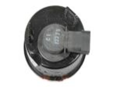 Jeep 55077884AD Parking/Turn Lamp