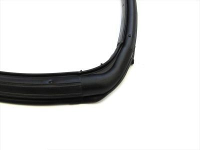 Jeep 55395275AU WEATHERSEAL DOOR TO BODY FRONT full DOOR