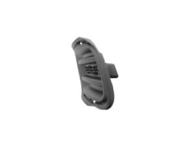 Jeep 68203223AA Lamp Cover