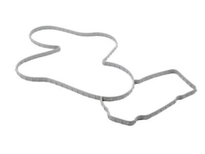 Chrysler Water Pump Gasket - 53021384AC