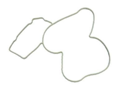 Chrysler Water Pump Gasket - 53021384AC