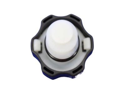 Jeep 68053132AA Reservoir Cap