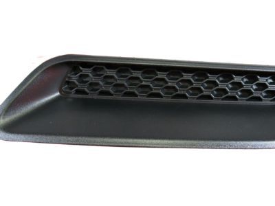 Mopar 68071011AA Bezel Hood