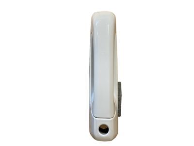 Ram 1GH21GW7AD HANDLE Exterior Door