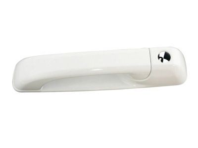 Ram 1GH21GW7AD HANDLE Exterior Door