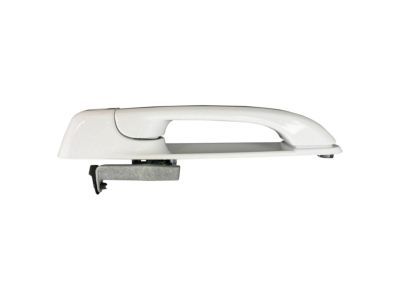 Ram 1GH21GW7AD HANDLE Exterior Door