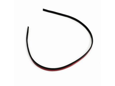 Mopar 1DZ14DA4AA Molding Roof