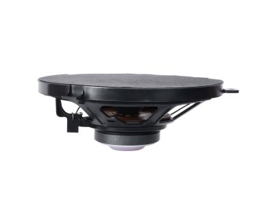 Mopar 5091020AB Speaker 6.5" Right Rear Door, Center