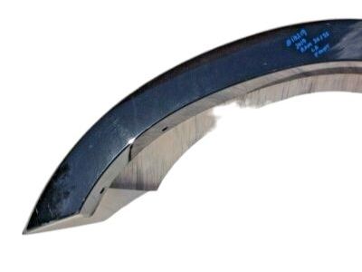 Ram 6MS45TZZAC Wheel Flare