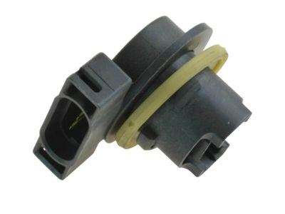 Dodge Light Socket - 4523108