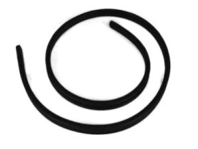 Jeep 55369015AK Weatherstrip