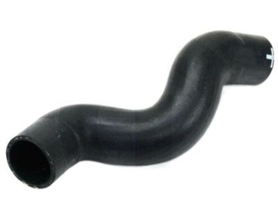 Jeep Liberty Radiator Hose - 55037912AA