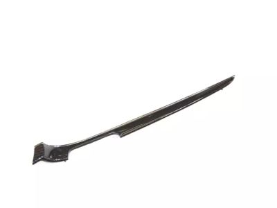 68145041AA Mopar Applique Front Door Product Photo 3 of 4