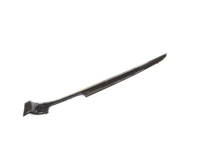 68145041AA Mopar Applique Front Door Product Photo 2 of 4