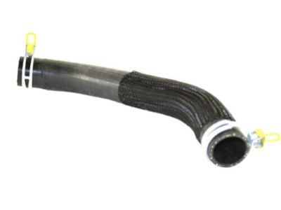 Dodge Durango Radiator Hose - 68244089AB