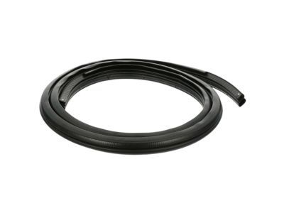 Jeep 55176958AG Weatherstrip