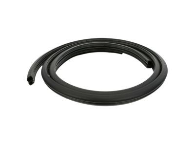 Jeep 55176958AG Weatherstrip